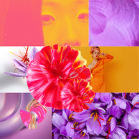 Saffron