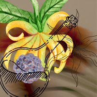 Ylang Ylang