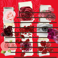 Royal Rose