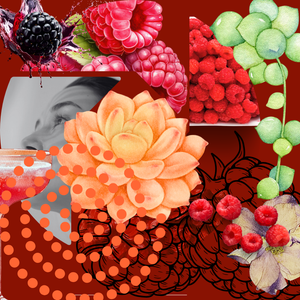 Succulent Raspberry