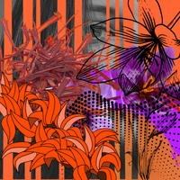 Crimson Saffron