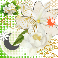 Midnight Jasmine