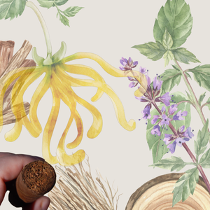 Patchouli